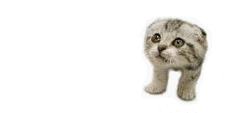 http://www.esreality.com/files/inlineimages/2005/34581-scuttle-cat.gif