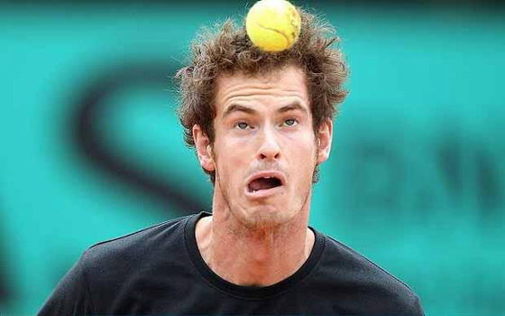 89063-andy-murray_1646843i.jpg