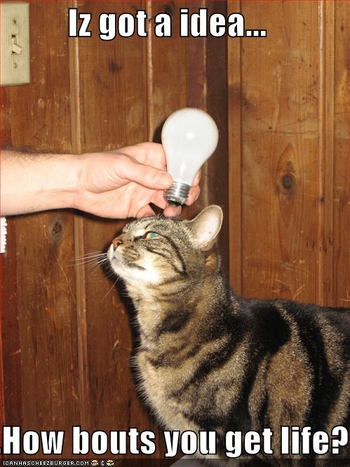 64246-funny-pictures-lightbulb-cat-get-a-life.jpg