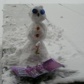 Snowman loves girlz 0f destruction 2