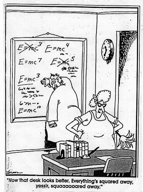 78320-einstein-farside.jpg