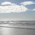 Fraser Island morning sun