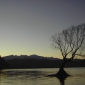 Lake Wanaka