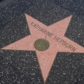 Hollywood star