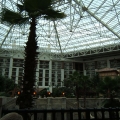 The Gaylord