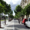 Tree-lined streets