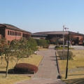 Player Village and Practice rooms